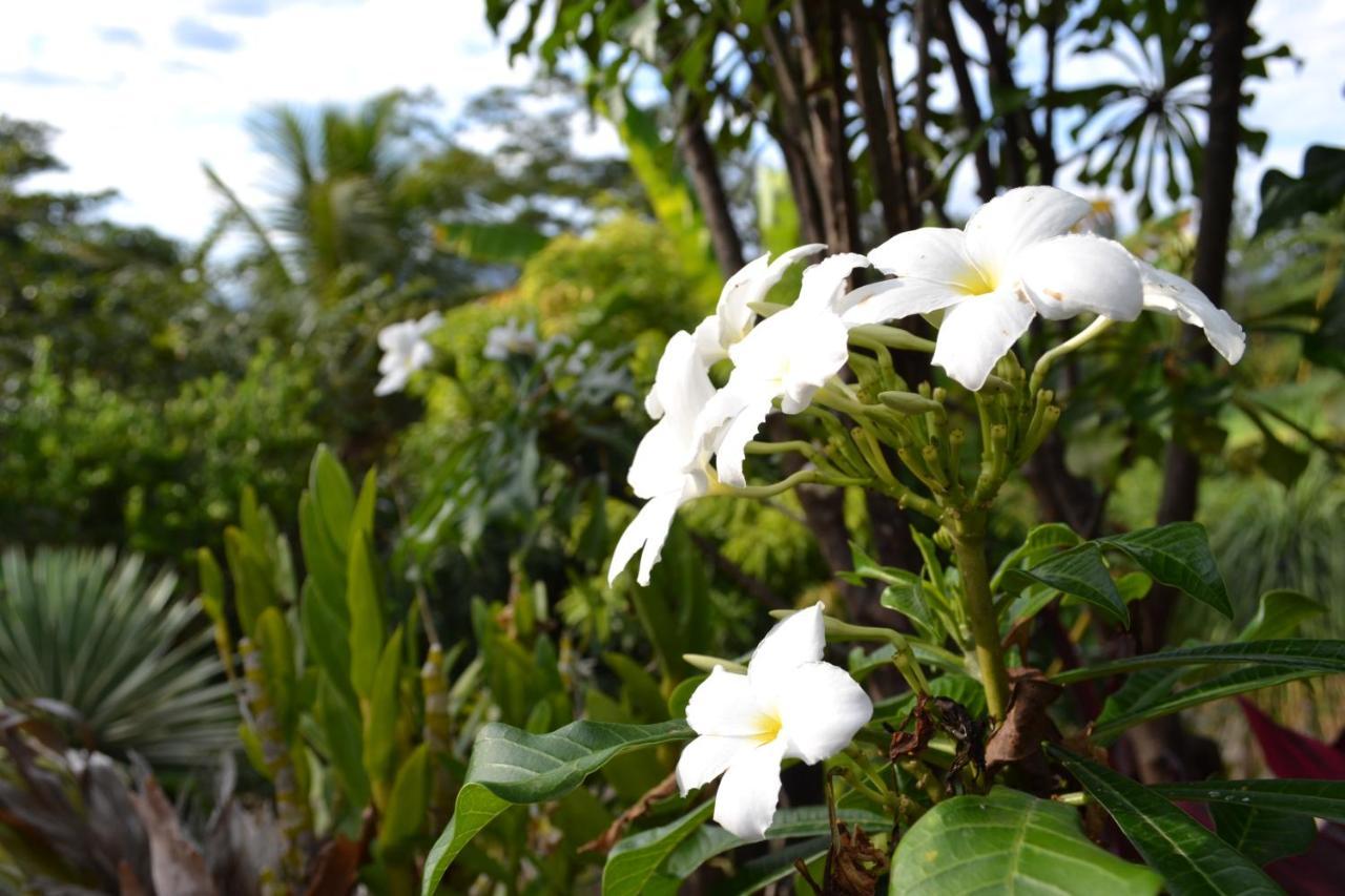 Pousada Recanto Da Estacao Sao Joao da Boa Vista Ngoại thất bức ảnh