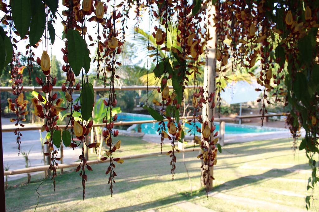 Pousada Recanto Da Estacao Sao Joao da Boa Vista Ngoại thất bức ảnh